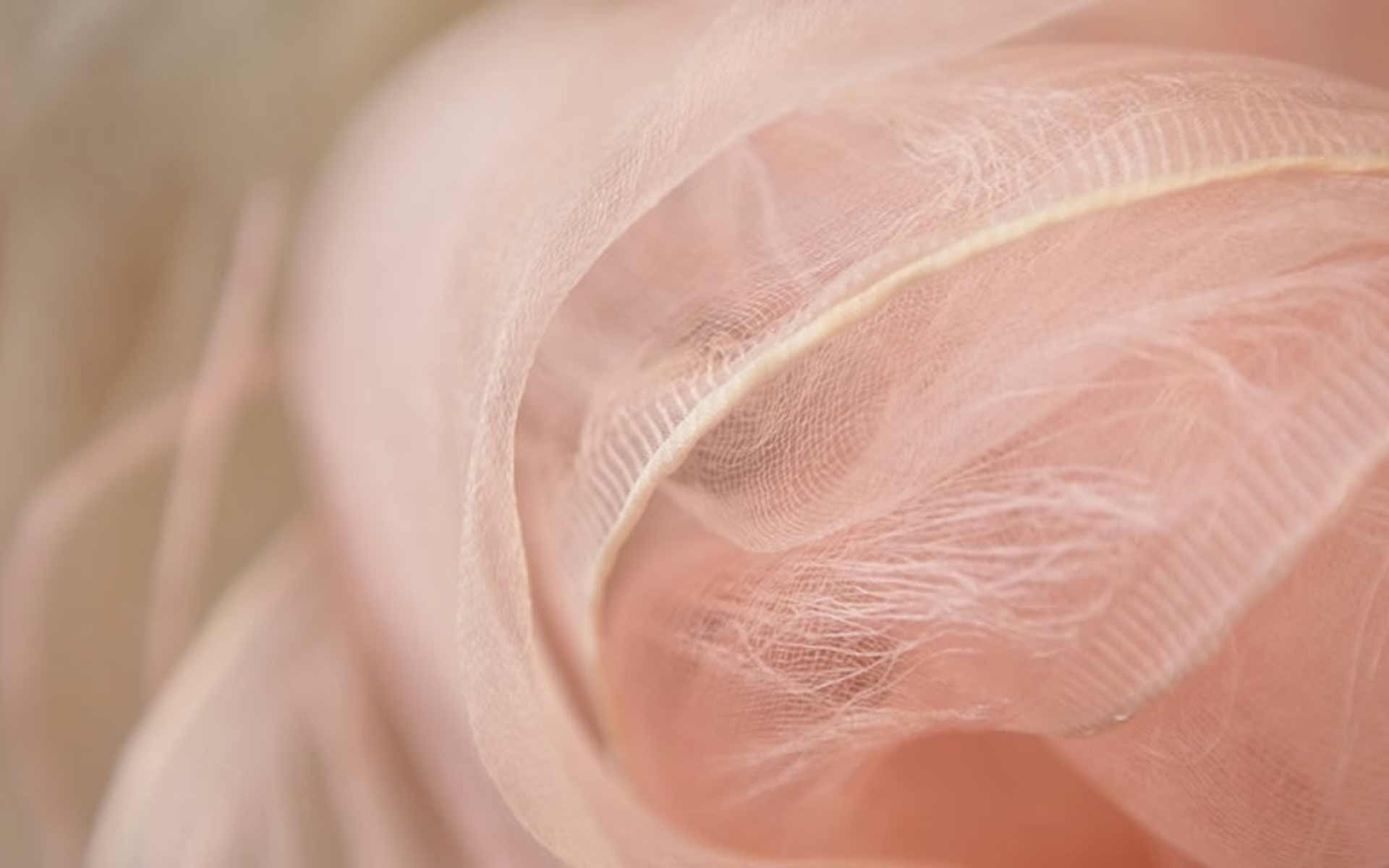 夢細工さんのさくら初め