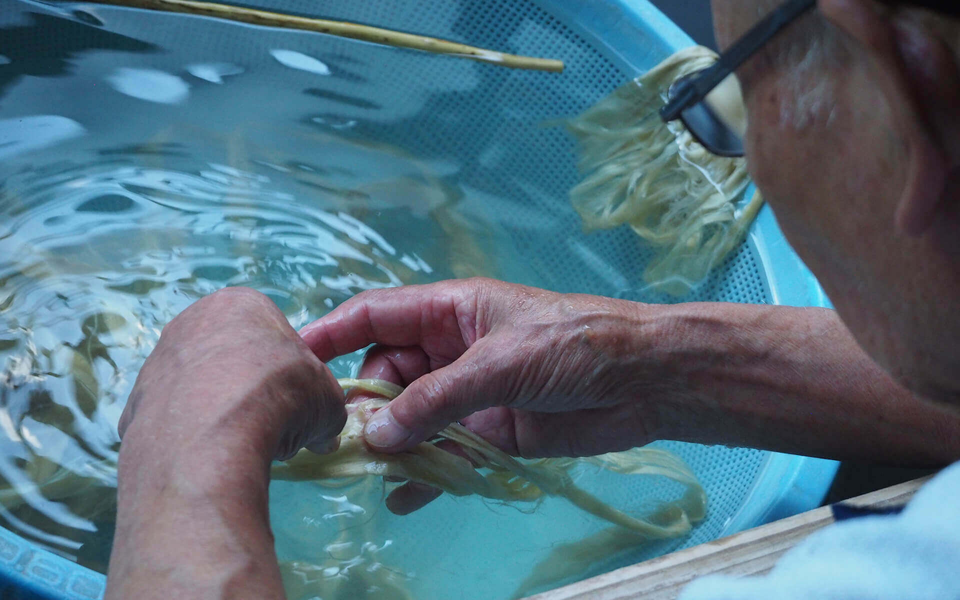 人間国宝・越前和紙の岩野市兵衛