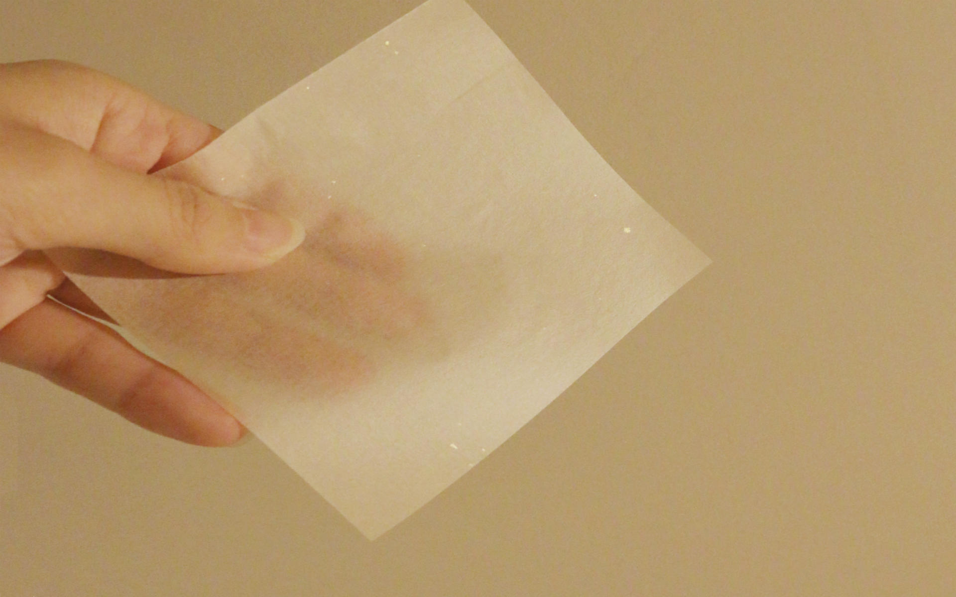 箔一のあぶらとり紙