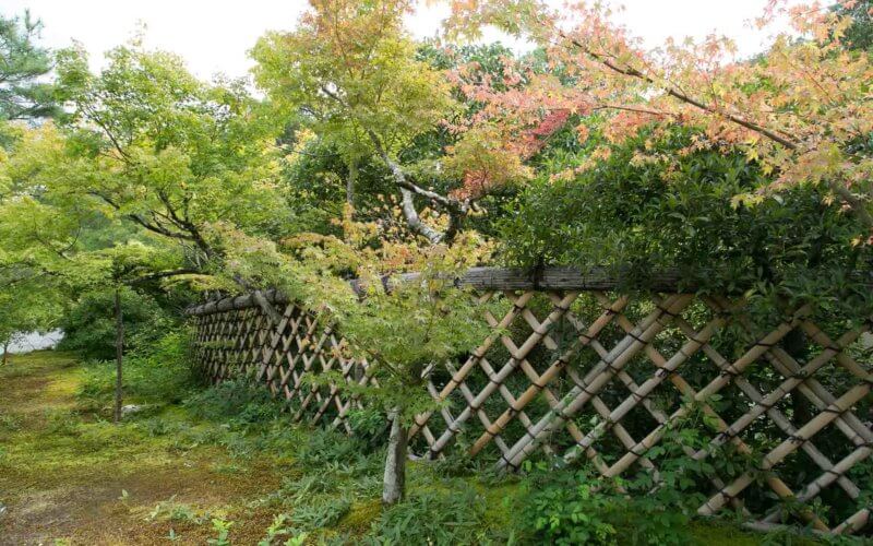 京都・建仁寺の竹垣