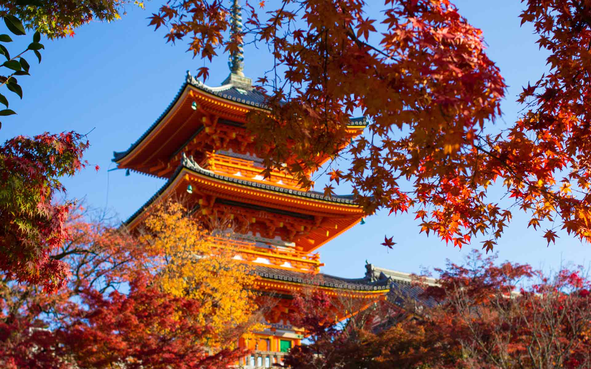 清水寺 © ganden クリエイティブ・コモンズ・ライセンス（表示4.0 国際）